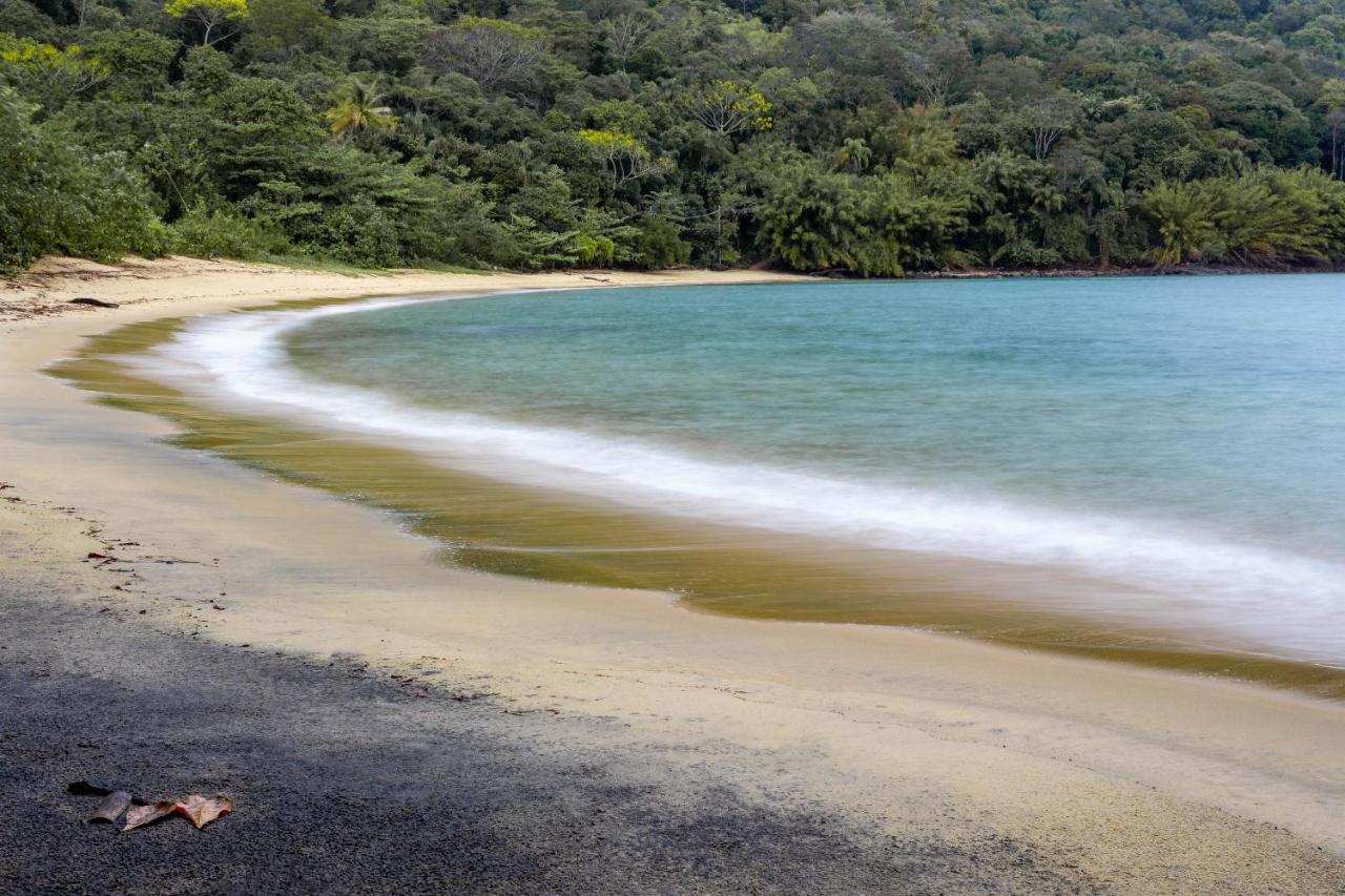 Fauna Praia do Bananal المظهر الخارجي الصورة