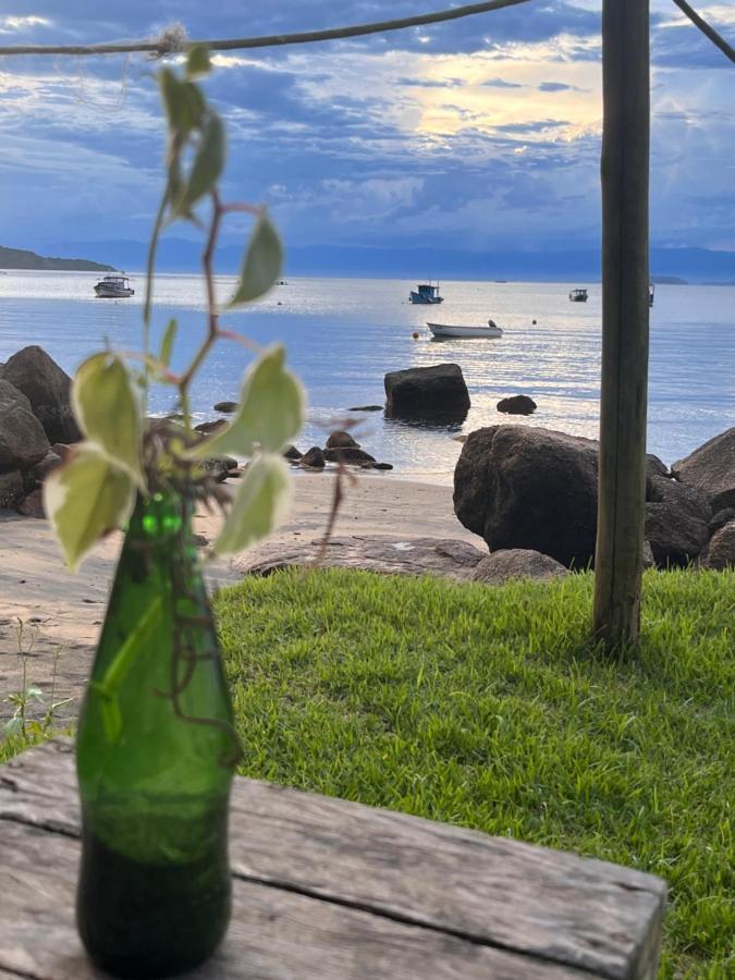 Fauna Praia do Bananal المظهر الخارجي الصورة